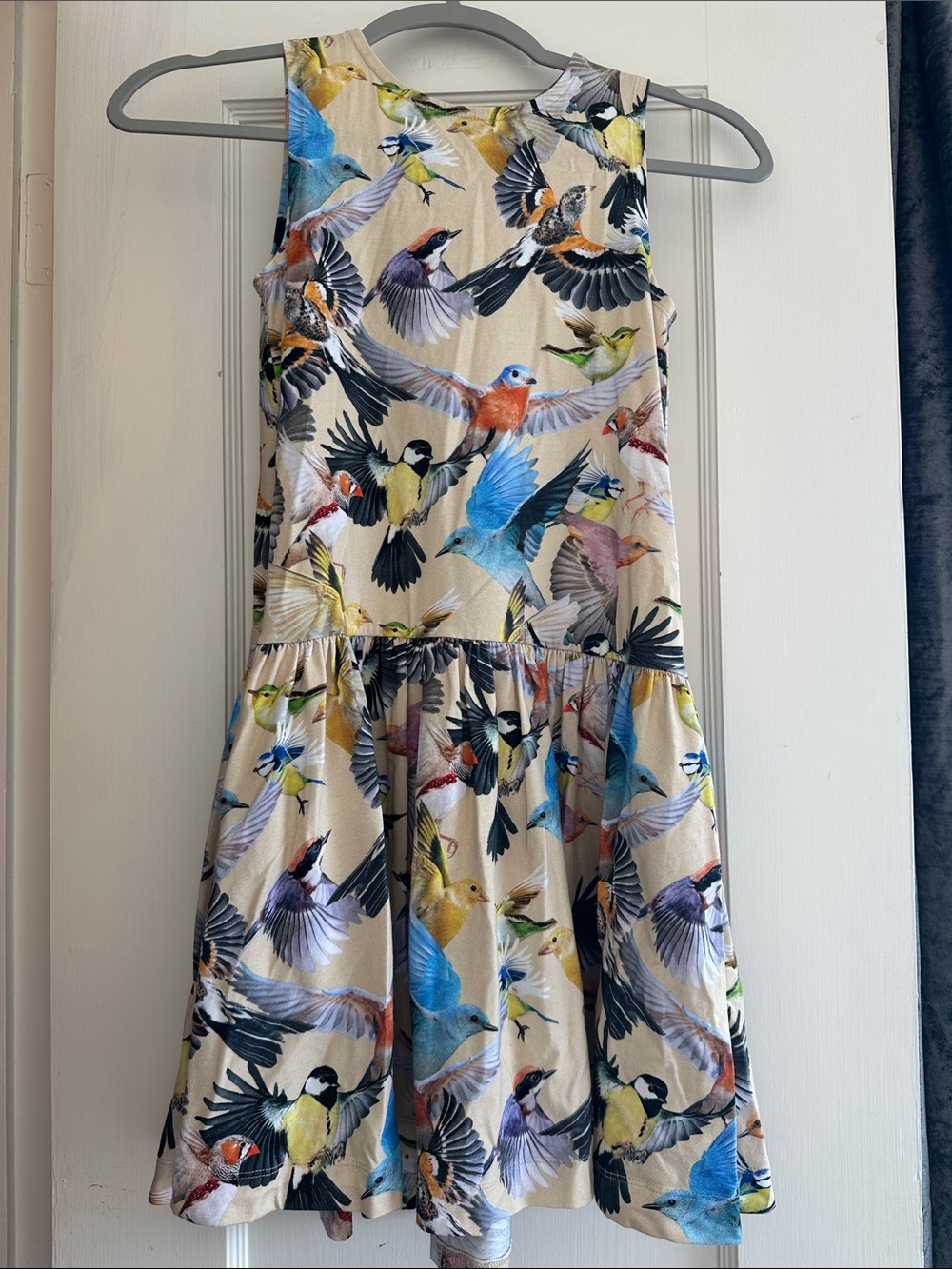 Sleeveless MOLO  Bird Print Sundress in Multicolor
